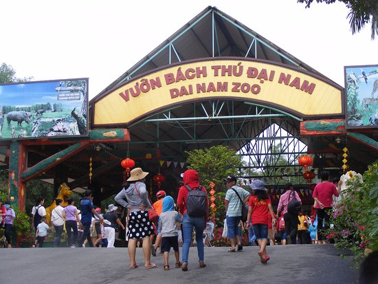 Vườn Thú Đại Nam  Mô hình vườn thú mở đầu tiên tại Việt Nam  Taxi sân bay  rẻ